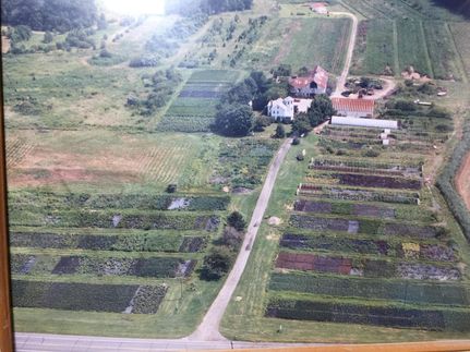 Property in Caroline County, Maryland