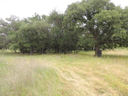 Property in Coleman County, Texas