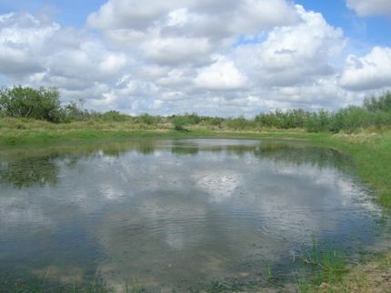 Property in Zapata County, Texas