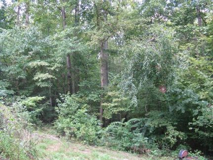 Property in Goochland County, Virginia