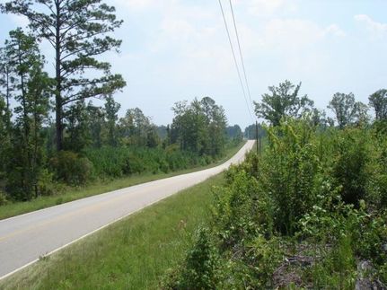 Property in Clarke County, Alabama