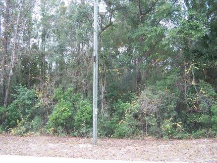 Property in Dixie County, Florida