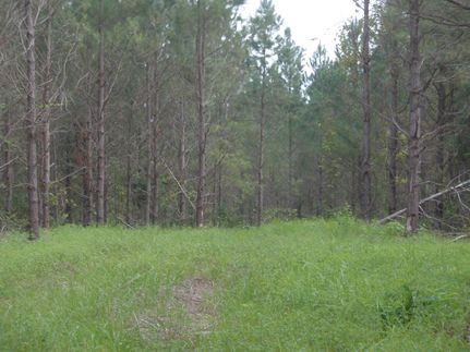Property in Florence County, South Carolina