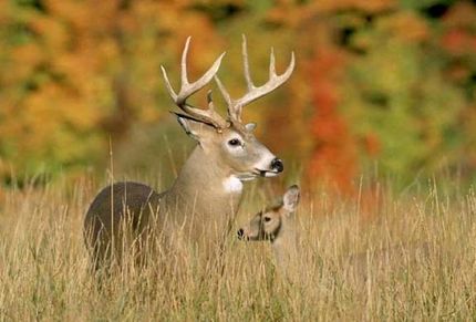 Property in Jefferson County, Arkansas