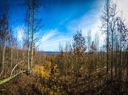 Property in Bledsoe County, Tennessee