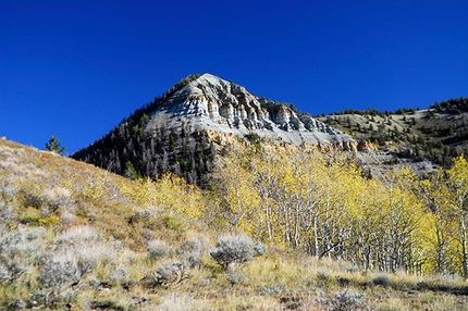 Property in Utah County, Utah