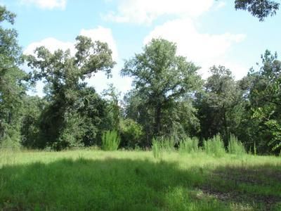 Property in Mobile County, Alabama