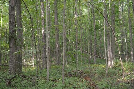 Property in Allen County, Indiana