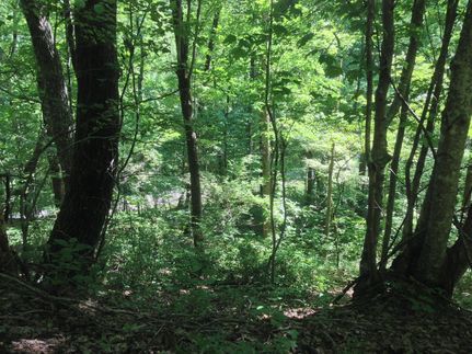 Property in Pickens County, South Carolina