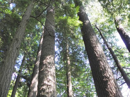 Property in Franklin County, Massachusetts