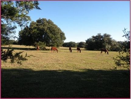 Property in Austin County, Texas