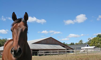 Property in Plymouth County, Massachusetts