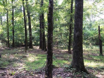 Property in Clark County, Arkansas