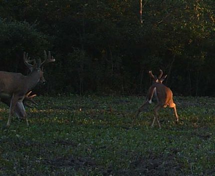 Property in Saint Clair County, Michigan