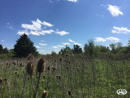 Property in Lapeer County, Michigan