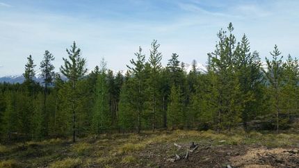 Property in Missoula County, Montana