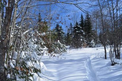 Property in Waldo County, Maine