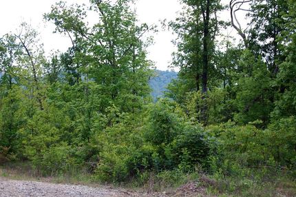Property in Franklin County, Tennessee