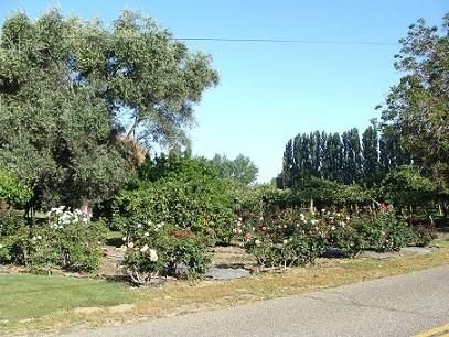 Property in Yuba County, California