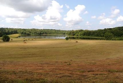 Property in Hardeman County, Tennessee