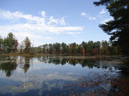 Property in Oneida County, Wisconsin