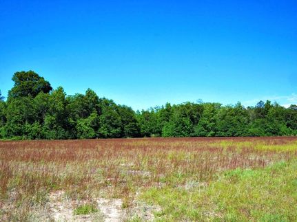 Property in Bulloch County, Georgia