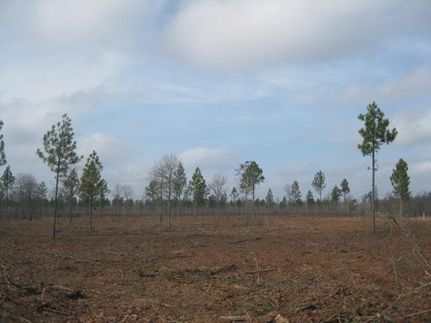 Property in Aiken County, South Carolina