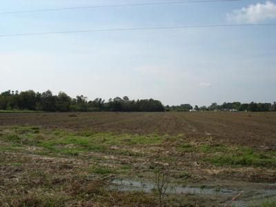 Property in Mobile County, Alabama