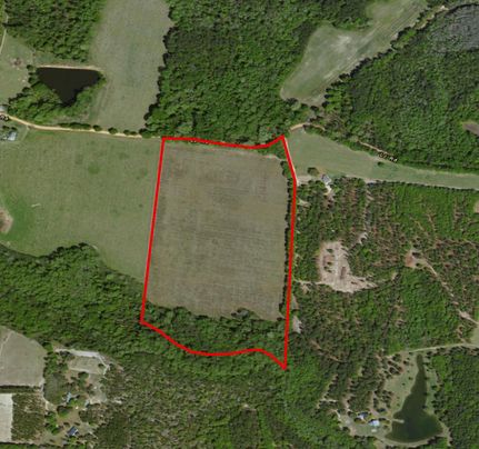 Property in Evans County, Georgia