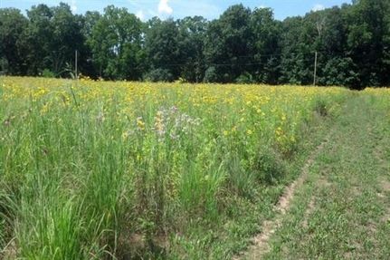 Property in Jackson County, Michigan