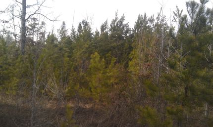 Property in Saline County, Arkansas