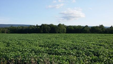 Property in Snyder County, Pennsylvania