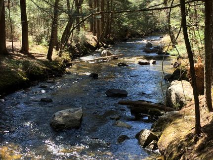 Property in Oxford County, Maine