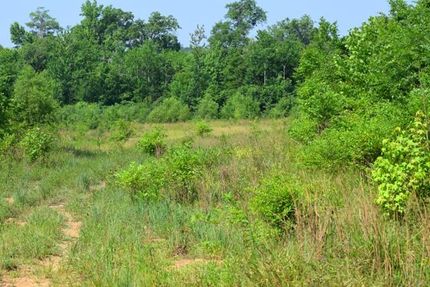 Property in Twiggs County, Georgia