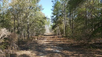 Property in Early County, Georgia