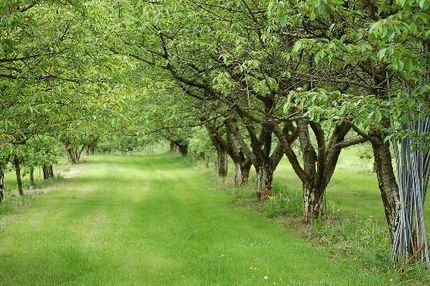 Property in Onondaga County, New York