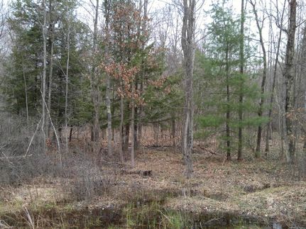 Property in Newaygo County, Michigan