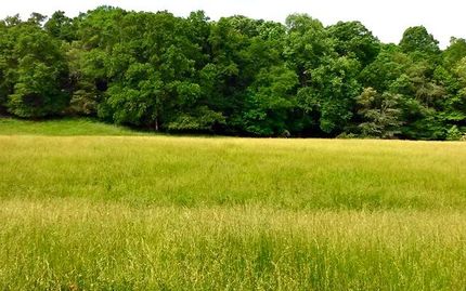 Property in Franklin County, Georgia