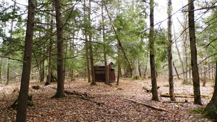 Property in Iosco County, Michigan