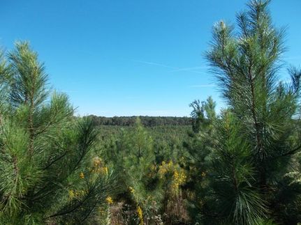 Property in Saline County, Arkansas