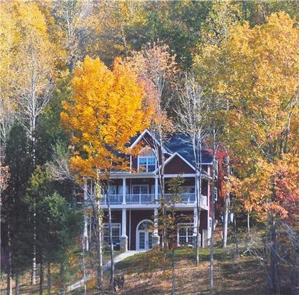 Property in Moore County, Tennessee