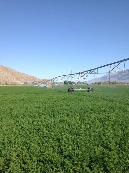 Property in Custer County, Idaho