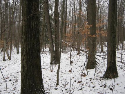 Property in Schuyler County, New York