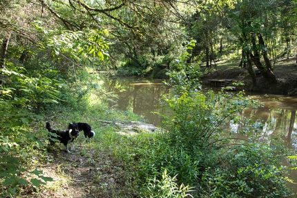 Property in Bibb County, Alabama