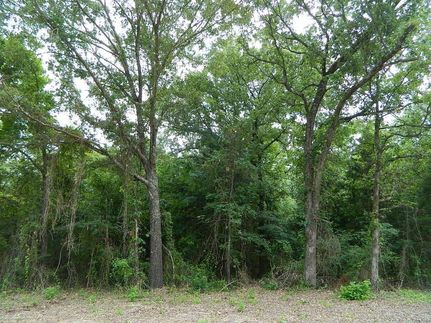 Property in Titus County, Texas