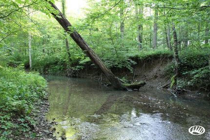 Property in Powell County, Kentucky