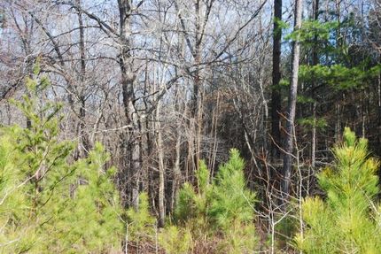 Property in Spartanburg County, South Carolina