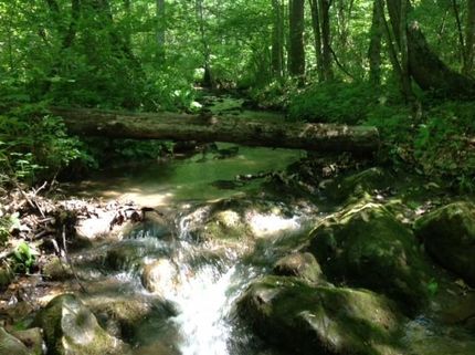 Property in Rockbridge County, Virginia