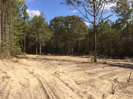 Property in Barbour County, Alabama