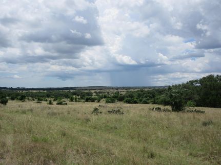 Property in Hays County, Texas